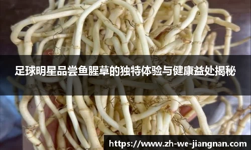 足球明星品尝鱼腥草的独特体验与健康益处揭秘